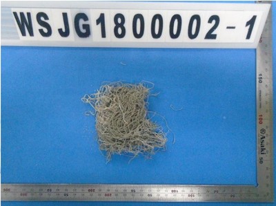 鋅粉檢測.jpg